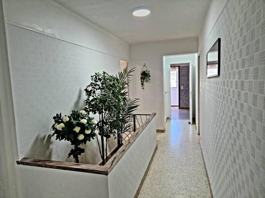 Villa Marseille Dans Les Hauteurs ภายนอก รูปภาพ